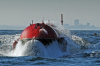 Pelamis