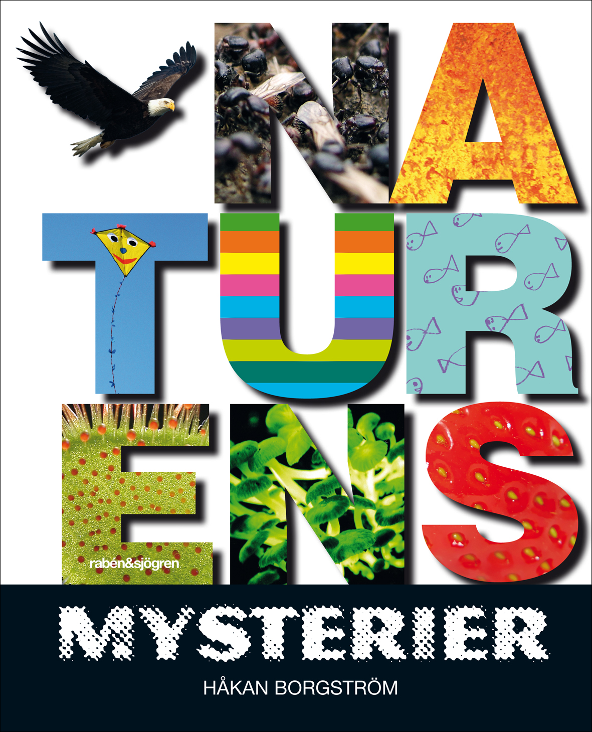 Omslaget till boken Naturens Mysterier där titelns bokstäver är fyllda med bilder, som jordgubbe, fiskar och flygande drake.