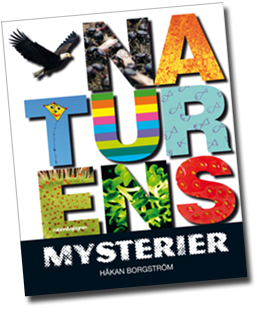 Boken Naturens Mysteriers omslag med titelns bokstäver ifyllda med bilder från bokens innehåll, som exempelvis jordgubbar och solros.